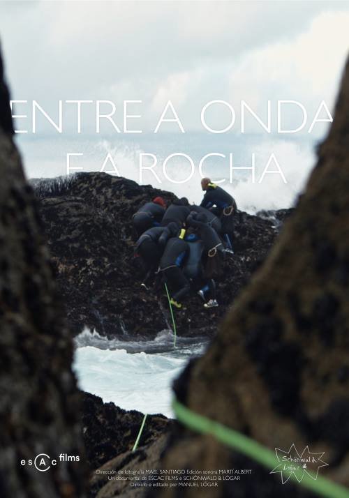 Poster de Entre a onda e a rocha