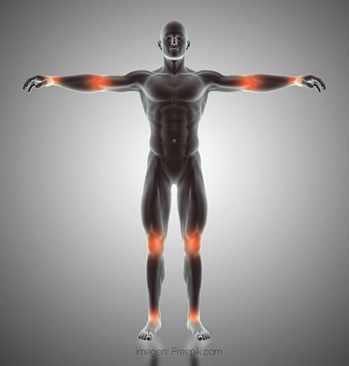 3d-render-of-male-figure-with-joints-highlighted
