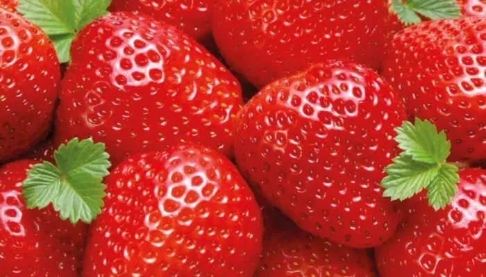 Fresas