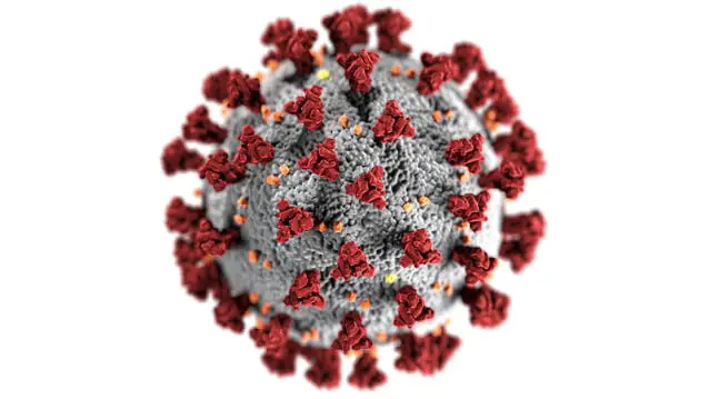 coronavirus