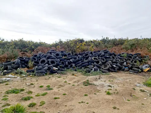 Pneumáticos em Pena Moa