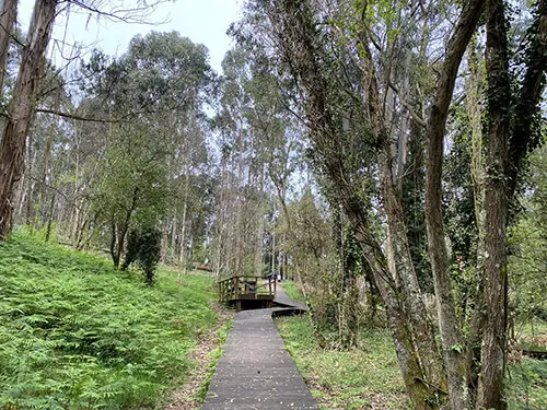 Bosque dos veciños