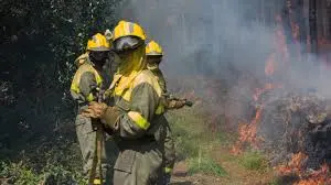 bombeiros