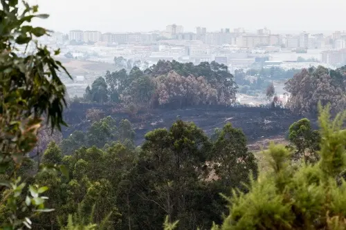 20220810_SGR_incendio_castro_elvinha_Z7F1325