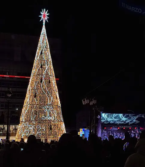 El árbol del Obelisco