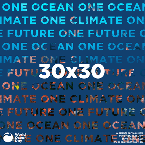 Día Mundial dos océanos