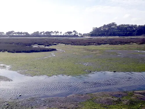 Esteiro do Río MIñor