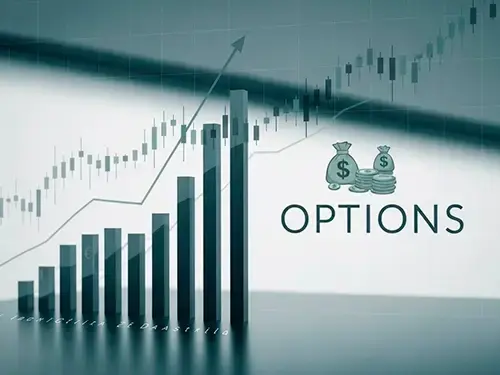 Stok Options