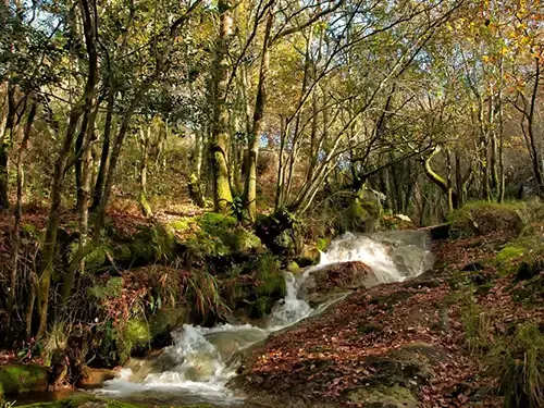 Rio Froxán