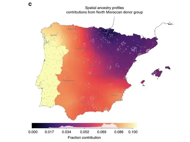 Mapa de distribuci&oacute;n gen&eacute;tica norteafricana en la Pen&iacute;nsula Ib&eacute;rica - Estudio Nature 2019.
