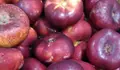 FrutRafa_18_02