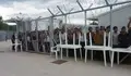caravana-grecia-cies-720x386