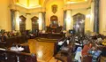 pleno enero 2017