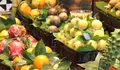 Fruter&iacute;a. Alimentaci&oacute;n saludable