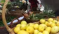 A producci&oacute;n dos nosos labregos