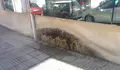 SanDiego1