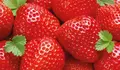 Fresas
