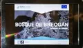Bosque de Breog&aacute;n
