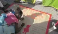 entrenos