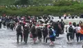Personas Migrantes port