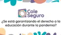 coleseguro port