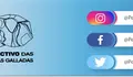 Header Twitter_Mesa de trabajo 1_Mesa de trabajo 1