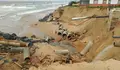 Mazag&oacute;n colector