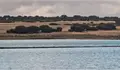 Defendemos TU agua port