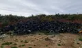 Pneum&aacute;ticos em Pena Moa port