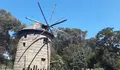 Molino port
