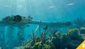 Minar&iacute;a submarina int