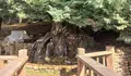 Fonte do Vieiro