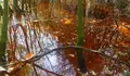 Contaminaci&oacute;n provocada pola mina de Touro