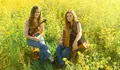 caamanoameixeiras