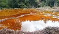 Contaminaci&oacute;n provocada pola mina de Touro no tramo medio do r&iacute;o Portapego port