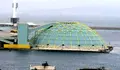 medusa port