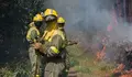 bombeiros