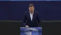 Nicol&aacute;s Gonz&aacute;lez Casares en el Parlamento Europeo