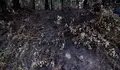20220810_SGR_incendio_castro_elvinha_Z7F1346