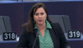 Ana MIranda debate Marrocos3