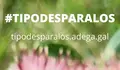 Ti podes paralos port