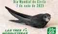 D&iacute;a Mundial do Cirrio