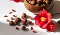 Semillas de camelias