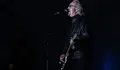 Umberto_Tozzi_Wiener_Stadtfest_2014_02