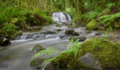 Fervenza_Novexilde_TPPVilartoxo