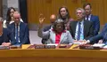 Consejo de Seguridad de la ONU (imagen de X)