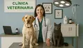 Cl&iacute;nica veterinaria