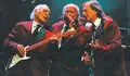 Los Sirex