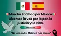 Marcha pacífica Madrid
