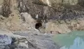 Monte Neme, vertido
